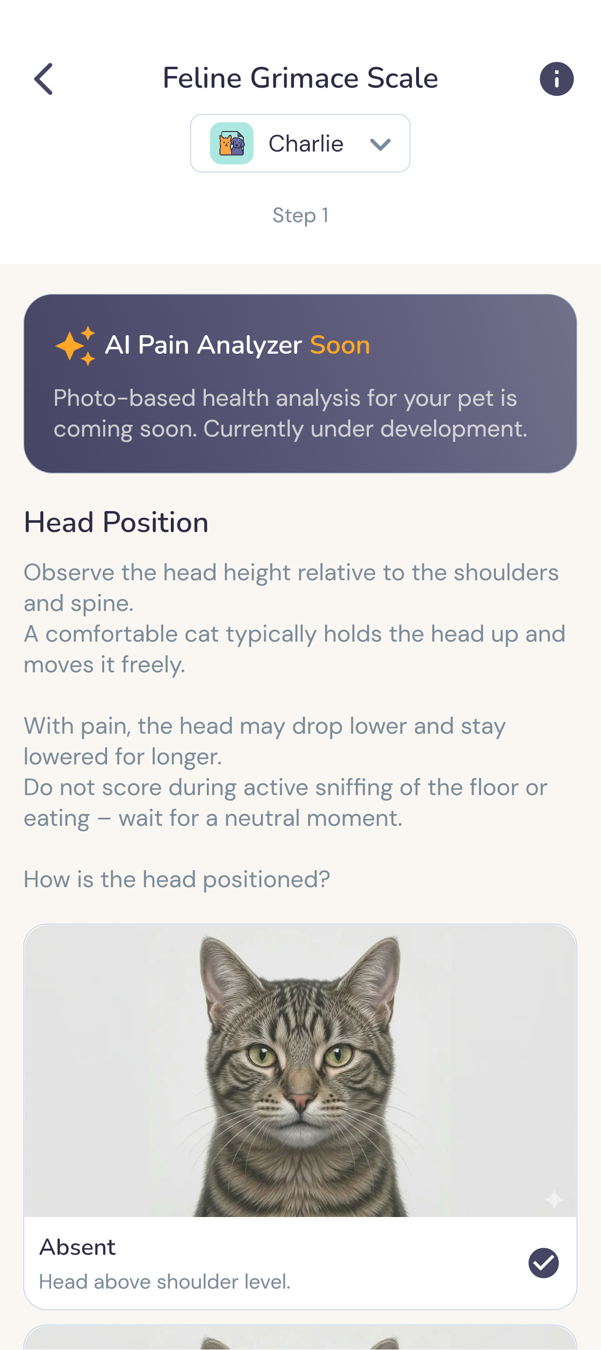 ZooDecoder pain scale